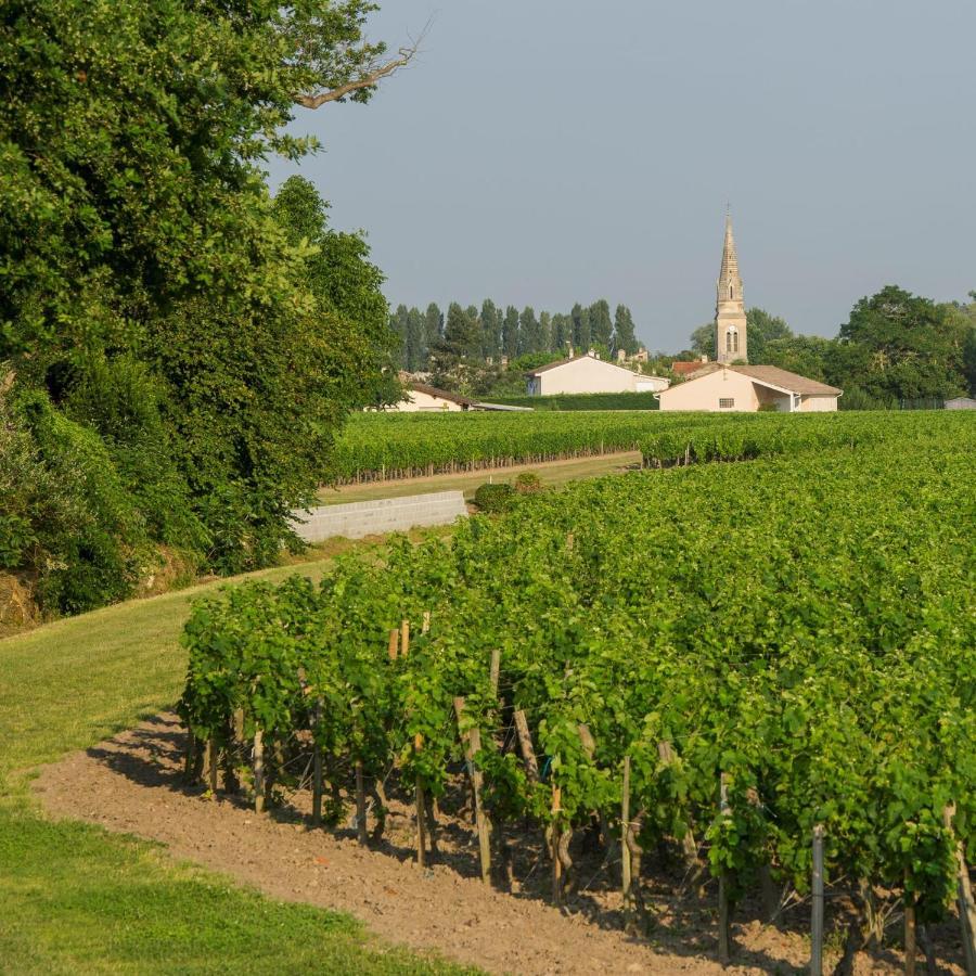 Clos De Bertinat Saint-Sulpice-de-Faleyrens Esterno foto