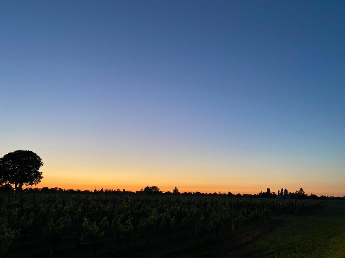 Clos De Bertinat Saint-Sulpice-de-Faleyrens Esterno foto