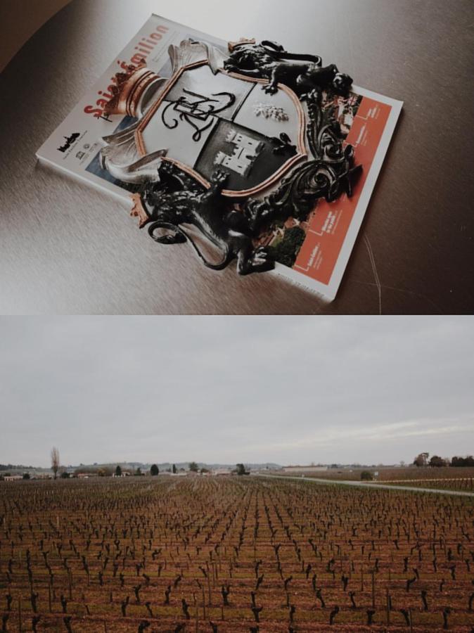Clos De Bertinat Saint-Sulpice-de-Faleyrens Esterno foto