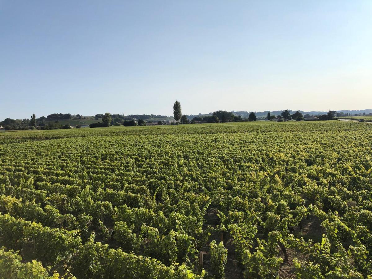 Clos De Bertinat Saint-Sulpice-de-Faleyrens Esterno foto